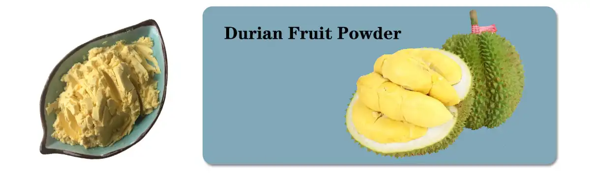 Durian Fruit Powder Supplier.jpg